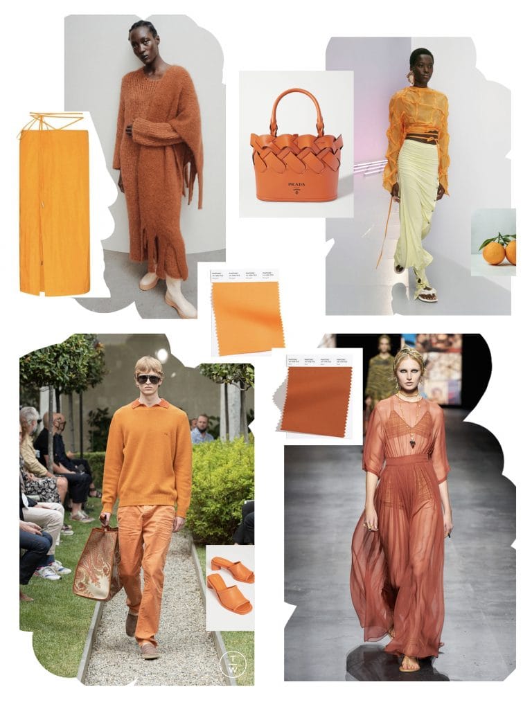 Shady orange Shady orange